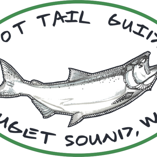 Spot Tail Guides logo