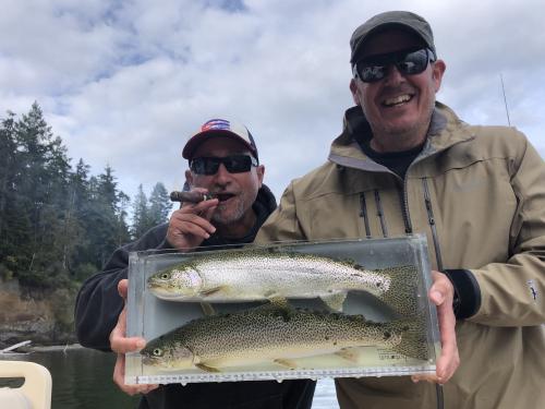 puget sound saltwater fly fishing